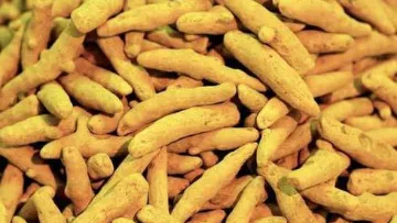 Finger Turmeric Products Trading in Bhavani, Erode