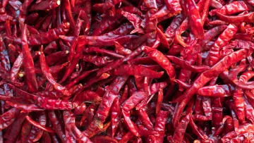 Long Dry Red Chilli Products Trading in Bhavani, Erode