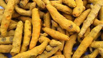 Salem Bold Turmeric Products Trading in Bhavani, Erode